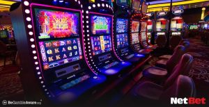 433br|Bingo Online com Bônus Sem Rollover – Participe Já
